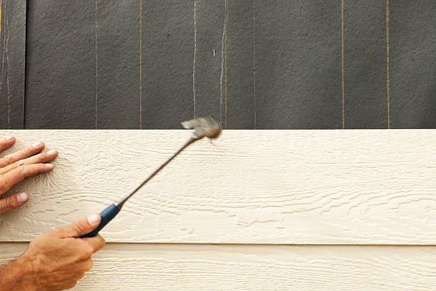 Best Custom Siding Design  in Waterloo, NE